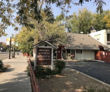 Arapahoe Animal Hospital - Downtown