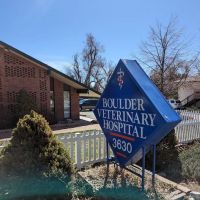 Boulder Veterinary Hospital ico