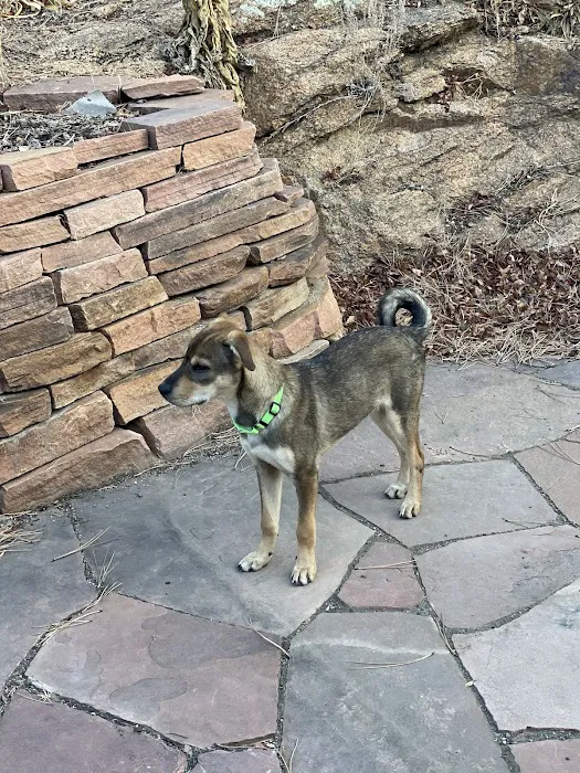 Boulder Veterinary Hospital 6