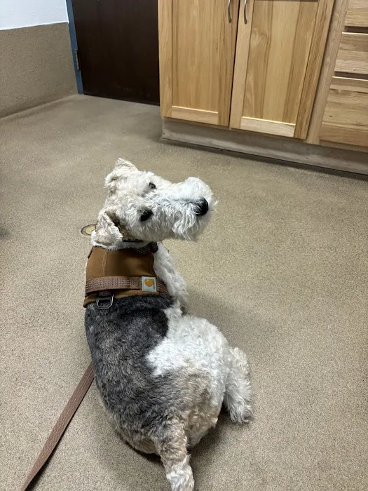 Boulder Veterinary Hospital 4