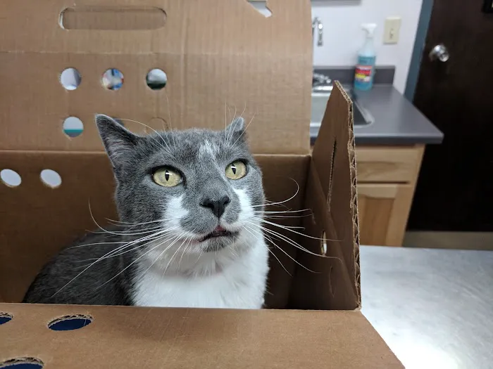Boulder Veterinary Hospital 7
