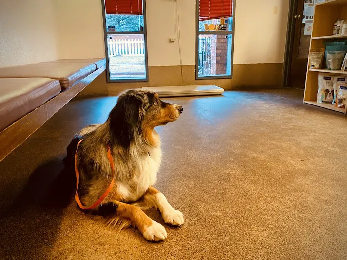 Boulder Veterinary Hospital 5
