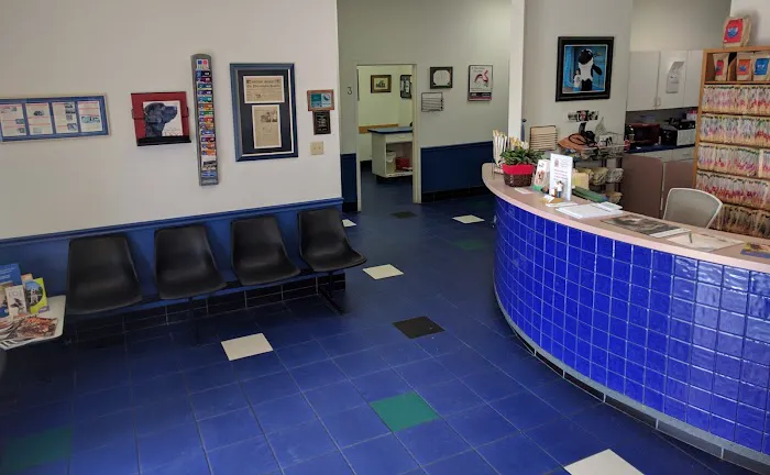 Lantana Veterinary Center 12