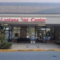 Lantana Veterinary Center ico