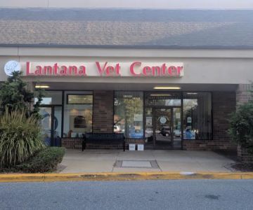 Lantana Veterinary Center
