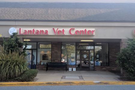 Lantana Veterinary Center