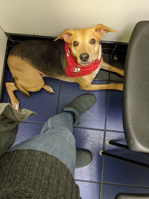 Lantana Veterinary Center 12