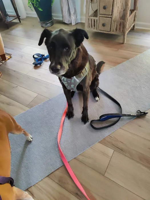 Lantana Veterinary Center 12