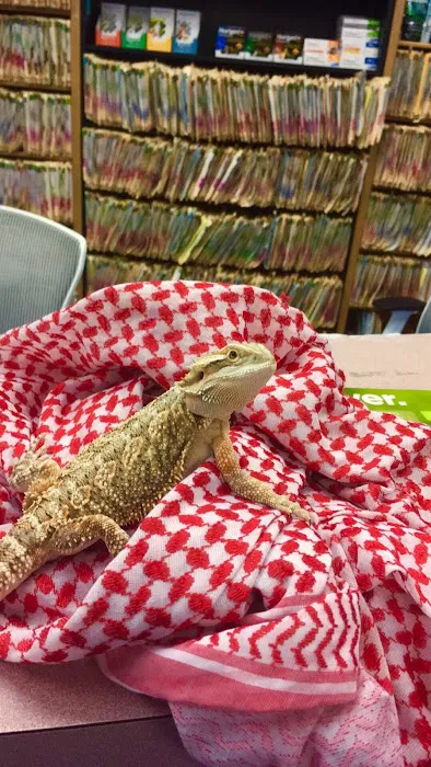 Lantana Veterinary Center 12