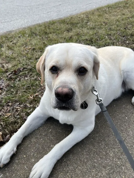 Applebrook Inn Veterinary Center & Pet Resort 2