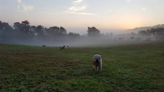 Applebrook Inn Veterinary Center & Pet Resort 1
