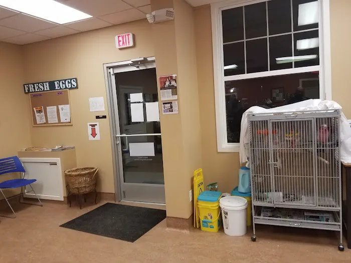 Aardvark Animal Hospital 7