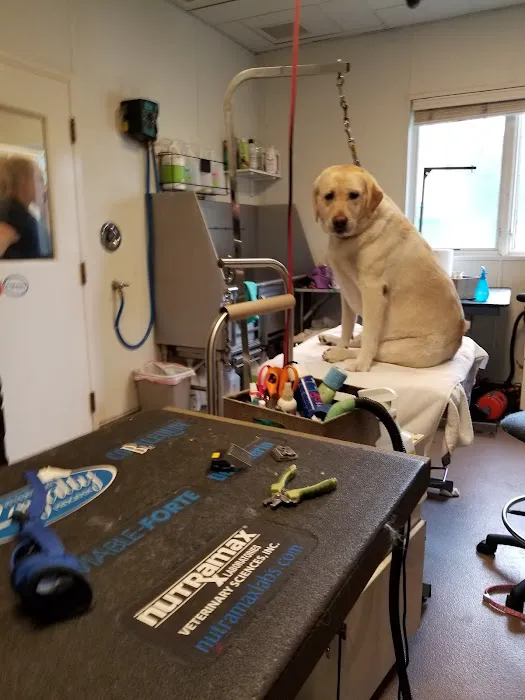 Limestone Veterinary Hospital 12