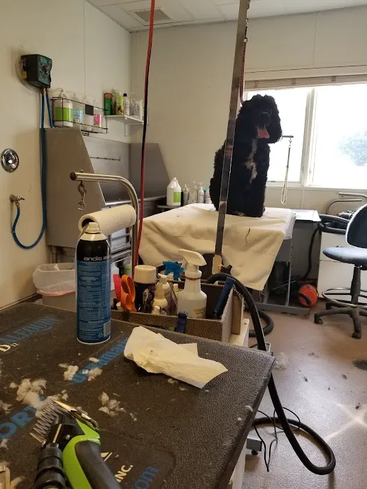 Limestone Veterinary Hospital 12