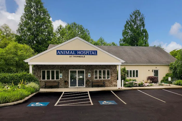 Animal Hospital at Thorndale 2