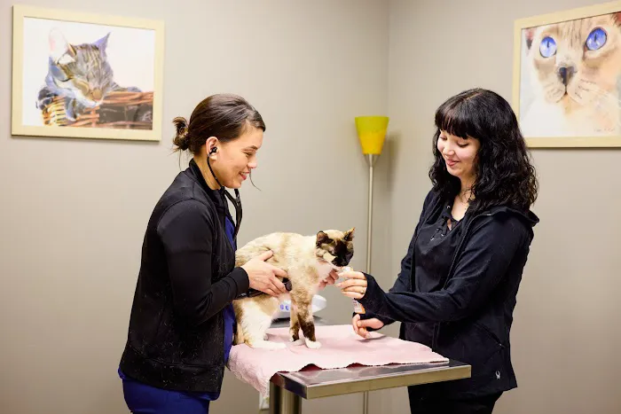 Animal Hospital at Thorndale 8