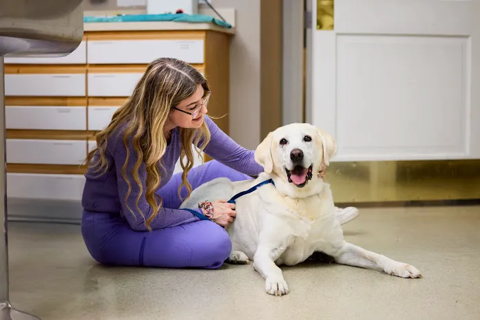 Animal Hospital at Thorndale 6