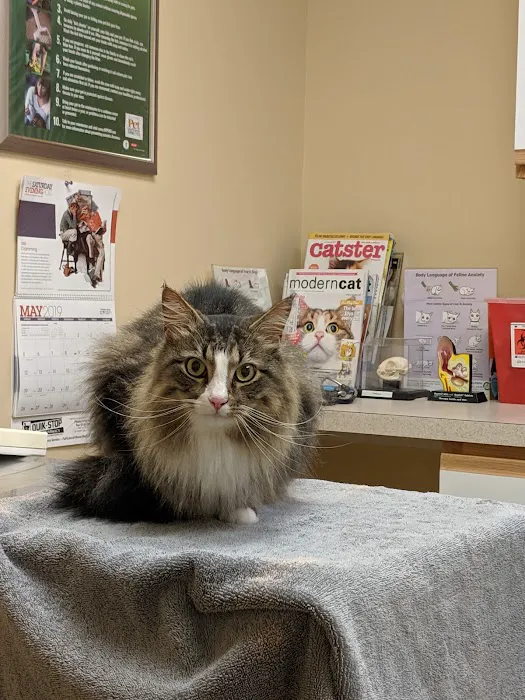 Animal Hospital at Thorndale 10