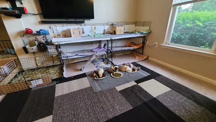 Critter Care Veterinary Hospital in Thorndale PA 1