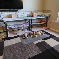 Critter Care Veterinary Hospital in Thorndale PA ico