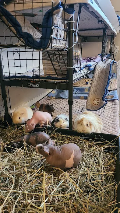Critter Care Veterinary Hospital in Thorndale PA 5