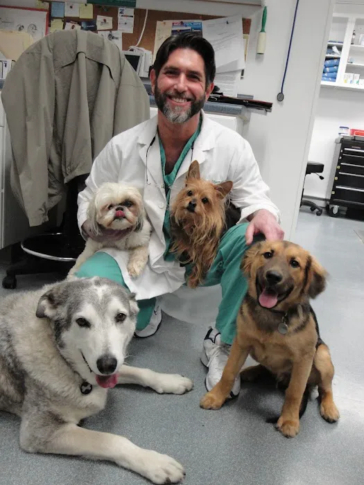The Affordable Spay Neuter Clinic 6