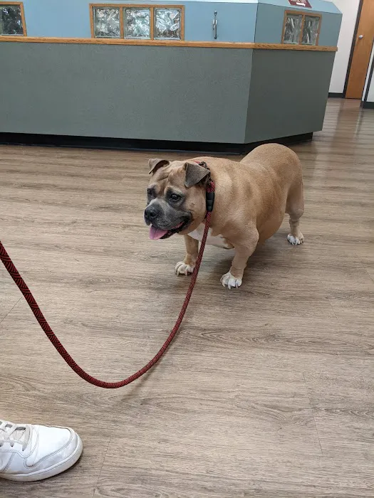 VCA French Creek Animal Hospital 7