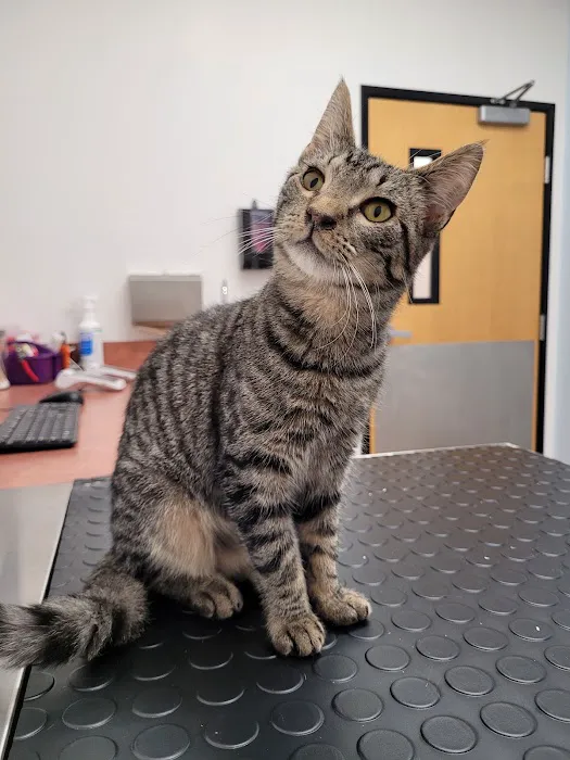 PetSmart Veterinary Services - Pottstown 2