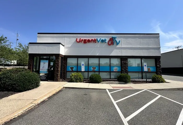 UrgentVet 2