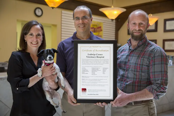 Ludwigs Corner Veterinary Hospital 2