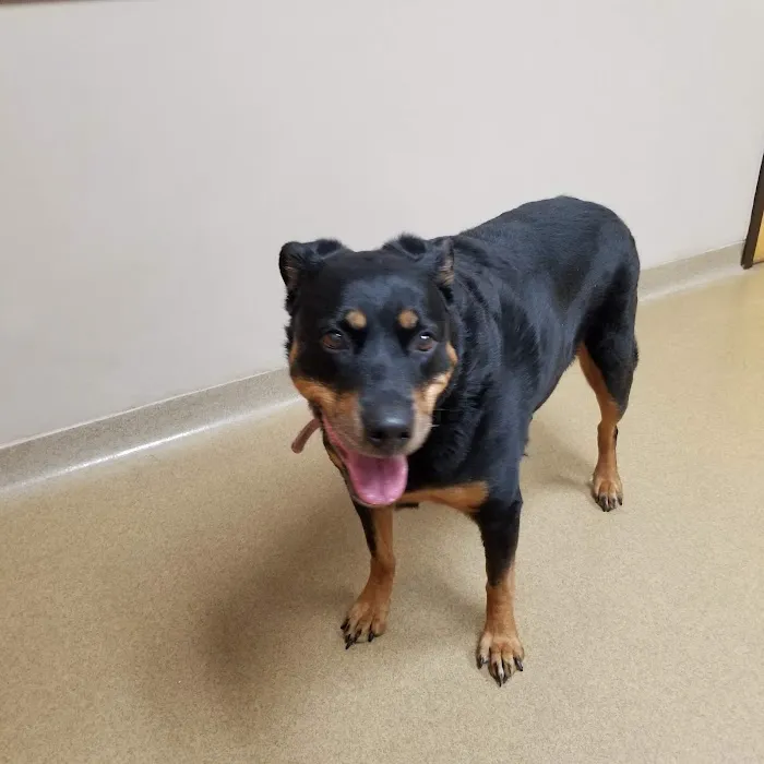 Ludwigs Corner Veterinary Hospital 3