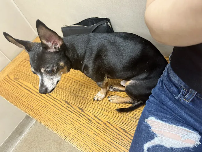 Ludwigs Corner Veterinary Hospital 8