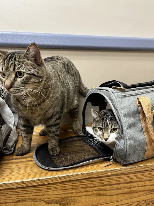 Ludwigs Corner Veterinary Hospital 4