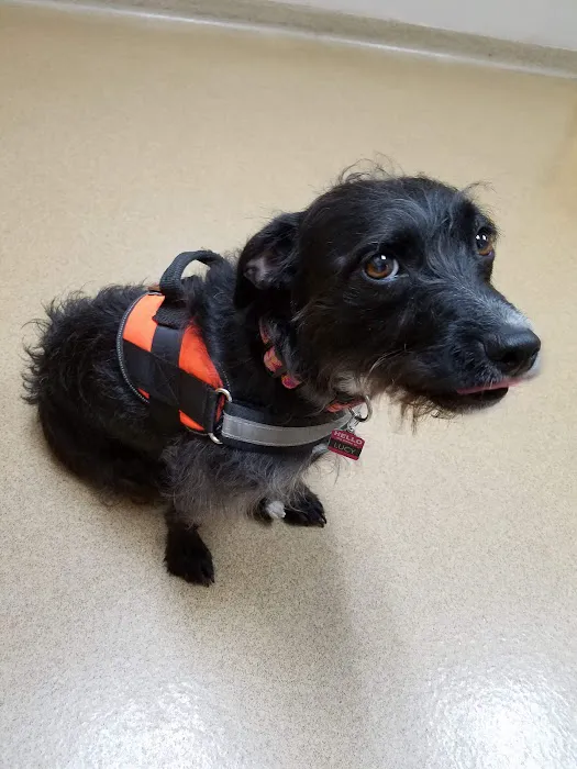 Ludwigs Corner Veterinary Hospital 6