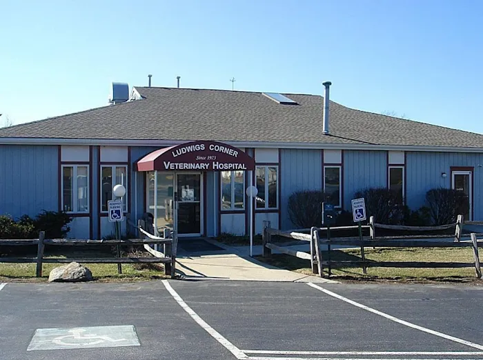 Ludwigs Corner Veterinary Hospital 9