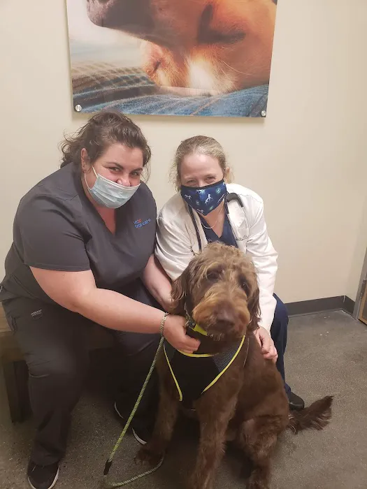 Vetco Total Care Animal Hospital 9