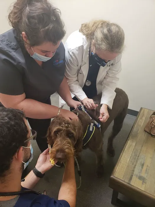 Vetco Total Care Animal Hospital 8