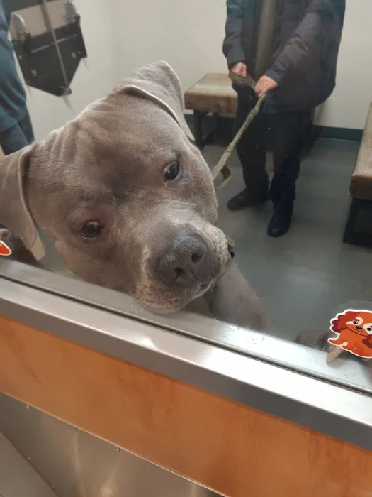 Vetco Total Care Animal Hospital 7