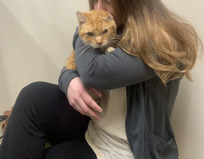 Vetco Total Care Animal Hospital 10