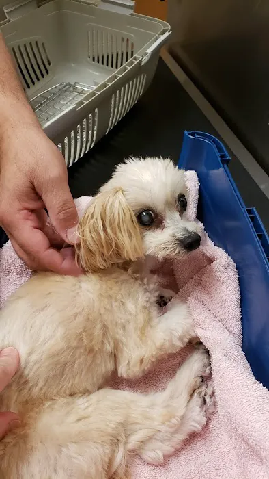 Gilbertsville Veterinary Hospital 12