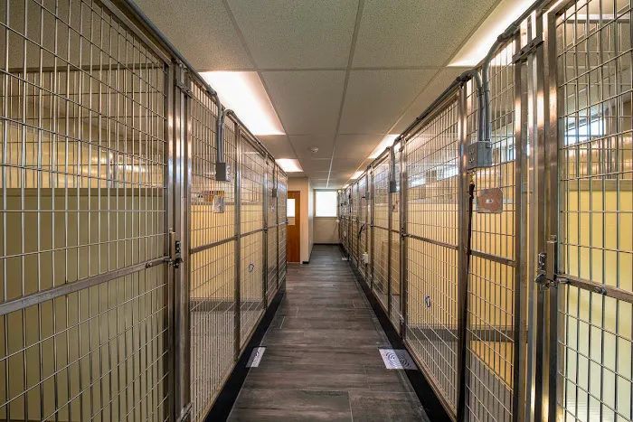 Gilbertsville Veterinary Hospital 12