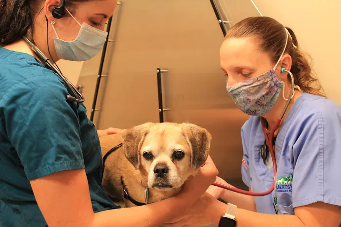 Gilbertsville Veterinary Hospital 12