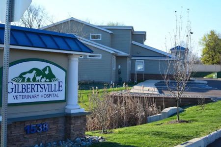 Gilbertsville Veterinary Hospital: Kulig Jill O DVM