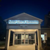 Animal Clinic of Hammonton ico