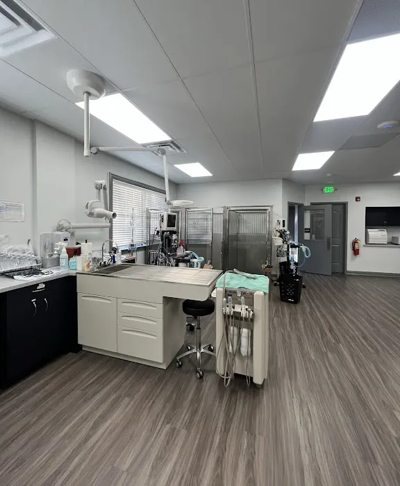 Animal Clinic of Hammonton 5