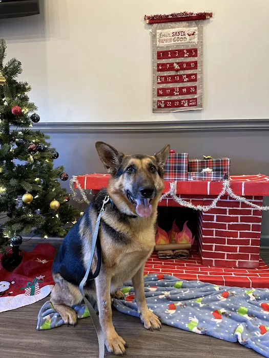 Animal Clinic of Hammonton 7