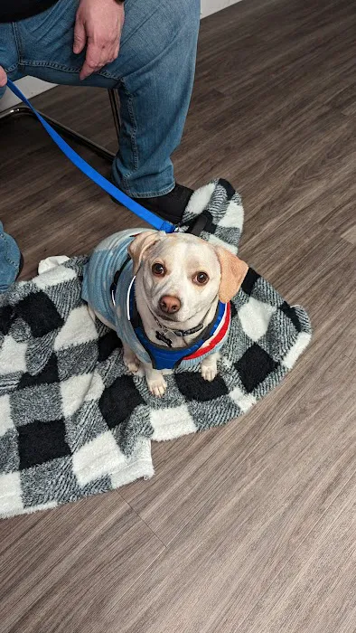 Animal Clinic of Hammonton 8
