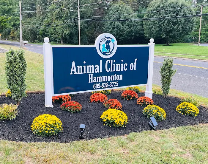 Animal Clinic of Hammonton 9
