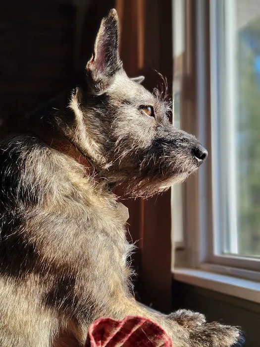 Mays Landing Veterinary Hospital, LLC 12