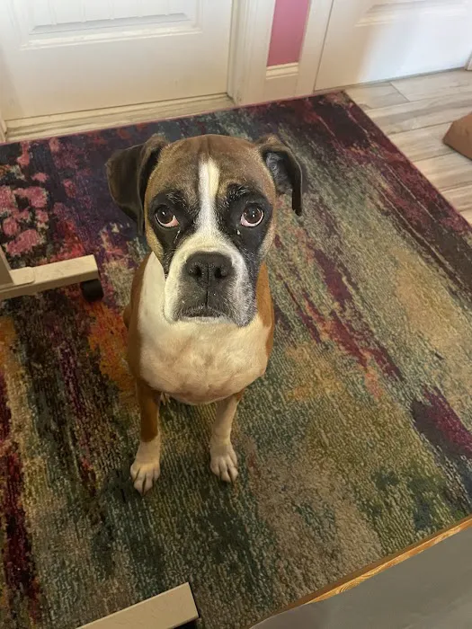 Mays Landing Veterinary Hospital, LLC 12